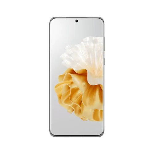 P60 Pro