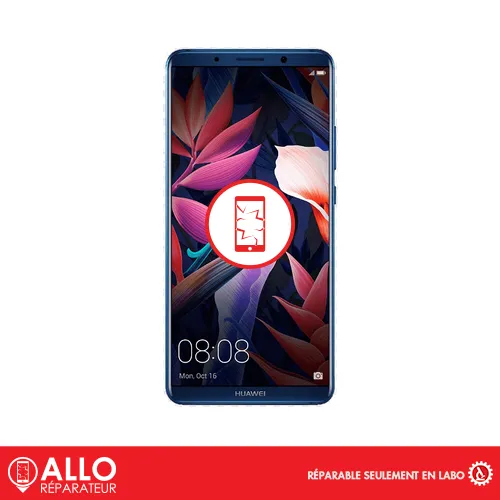 Afficheur Original pour Mate 10 Huawei