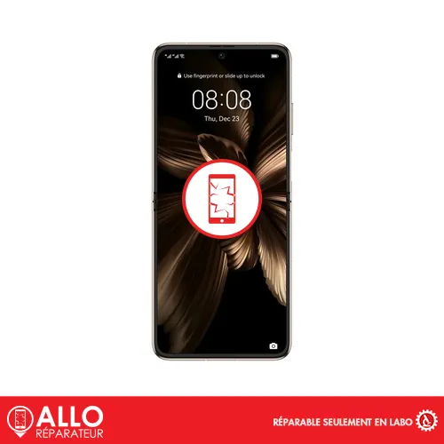 Afficheur QS pour P60 Pocket Huawei