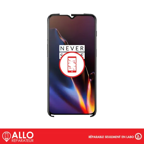 Afficheur QS pour 6T OnePlus