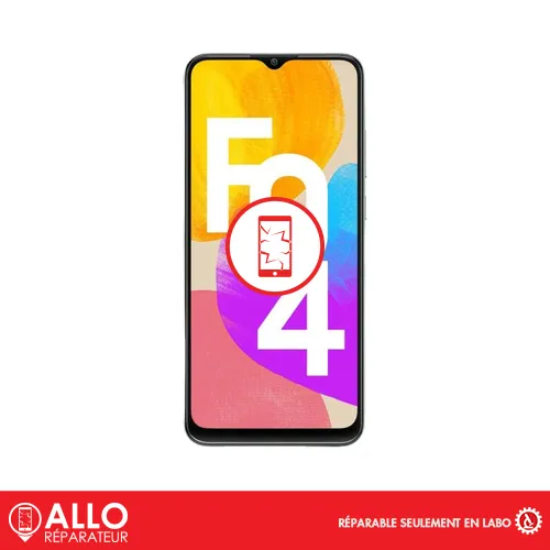 Afficheur QS pour F04 Samsung