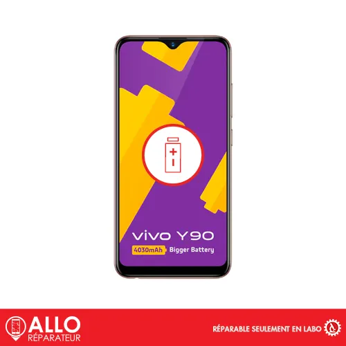 Batterie pour Y90 VIVO