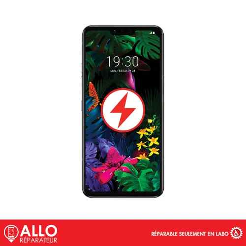 Connecteur de Charge pour G8 ThinQ LG