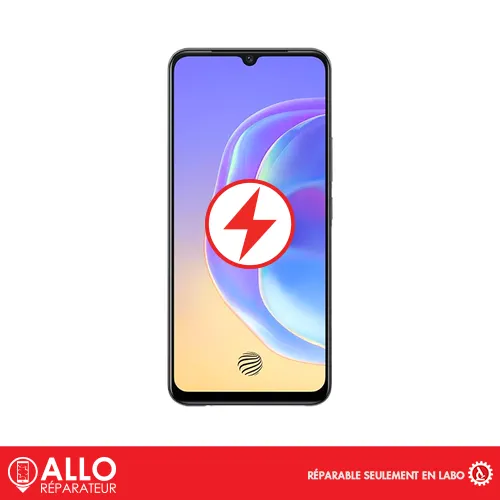 Connecteur de Charge pour V21e VIVO
