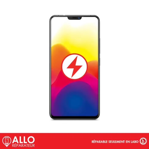 Connecteur de Charge pour X21 UD VIVO