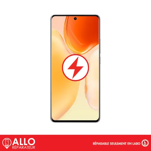 Connecteur de Charge pour X70 VIVO