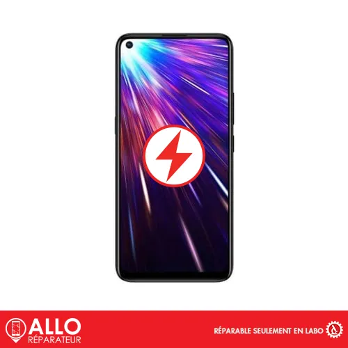 Connecteur de Charge pour Z1 Pro VIVO