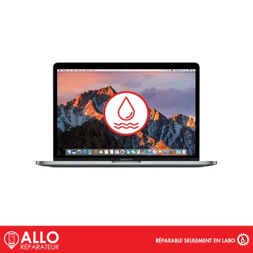 Dégât d’eau Désoxydation pour Macbook Pro 13 –  A1706 Apple