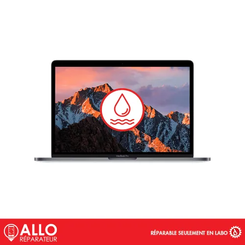 Dégât d’eau Désoxydation pour Macbook Pro 13 –  A1708 Apple