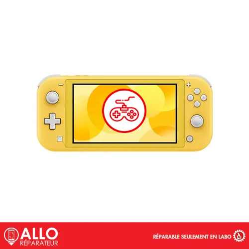 Manette/Bouton pour Switch Lite Nintendo