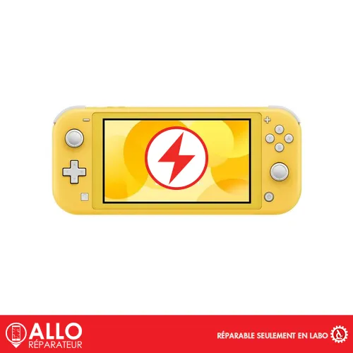 Connecteur pour Switch Lite Nintendo