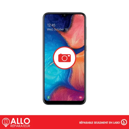Appareil Photo Frontal / Capteur de Proximité pour A20 Samsung