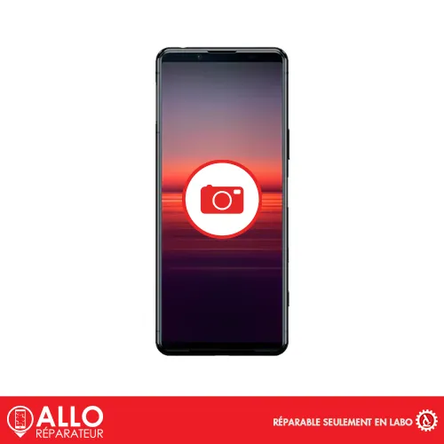 Appareil Photo Frontal / Capteur de Proximité pour Xperia 5 II SONY