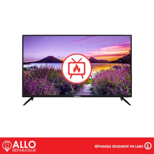 Surchauffe Téléviseur / TV Vega