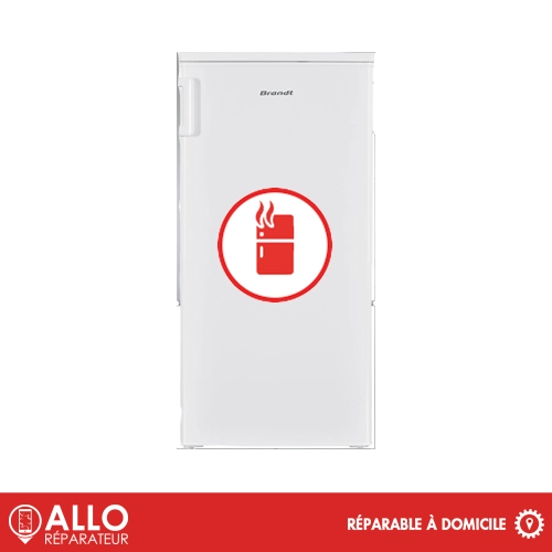 Mauvaise Odeur Constante Frigo Brandt