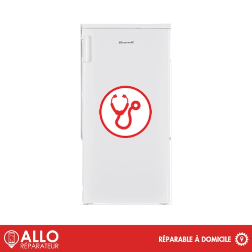 Diagnostic Frigo Brandt