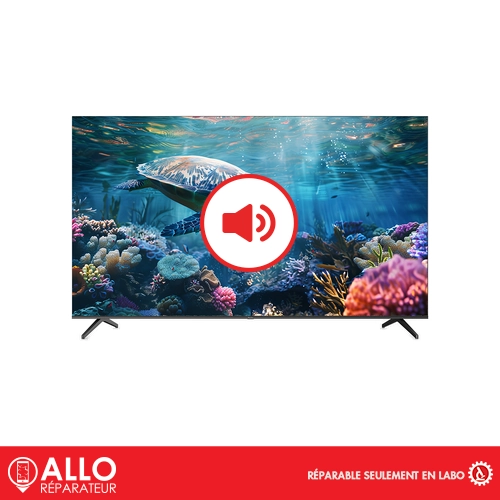 Problèmes de Son Téléviseur / TV Condor
