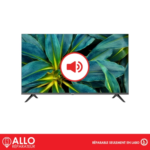 Problèmes de Son Téléviseur / TV Hisense
