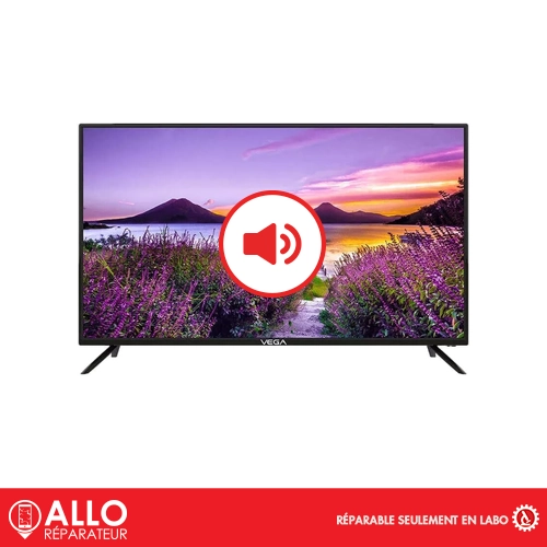 Problèmes de Son Téléviseur / TV Vega